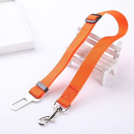 Ceinture de sécurité pour chien