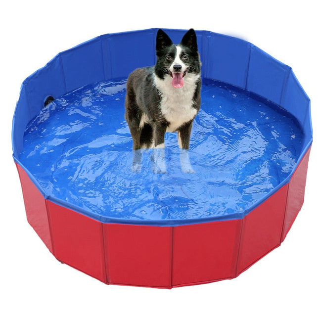 Piscine pour chiens