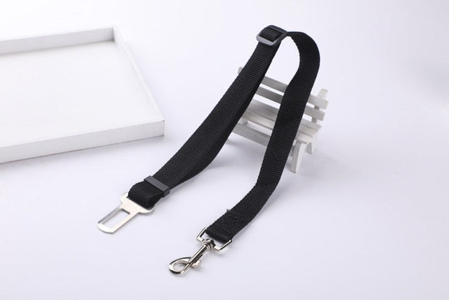 Ceinture de sécurité pour chien