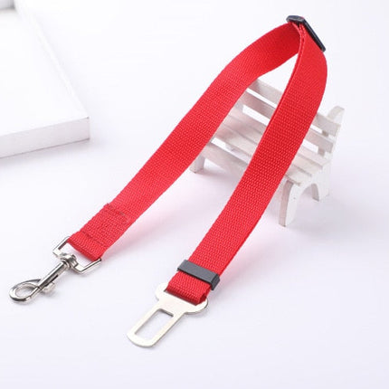 Ceinture de sécurité pour chien