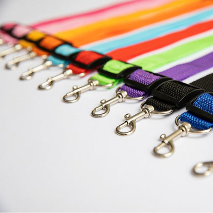 Ceinture de sécurité pour chien