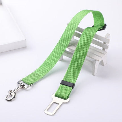 Ceinture de sécurité pour chien