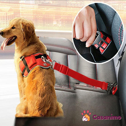 Ceinture de sécurité pour chien