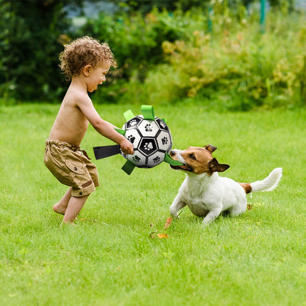 Ballon pour Chien