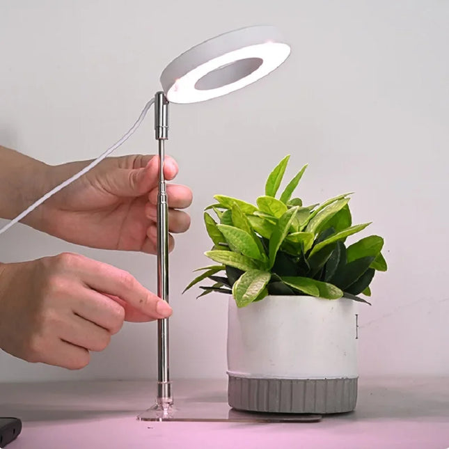 Mini Lampe LED pour croissance des plantes