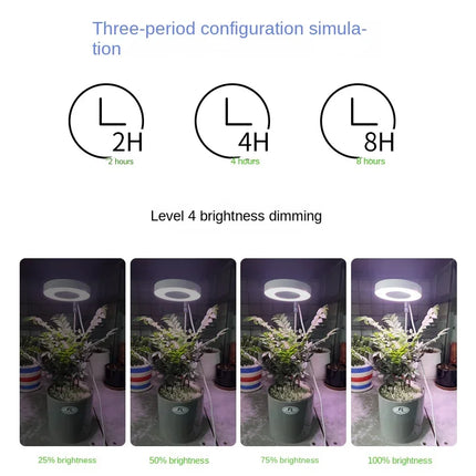 Mini Lampe LED pour croissance des plantes