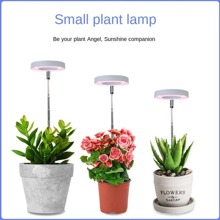 Mini Lampe LED pour croissance des plantes