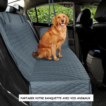 Housse de voiture imperméable pour animaux