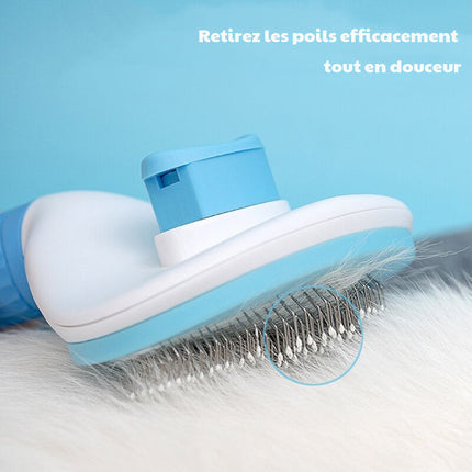 EasyClean : brosse anti poils