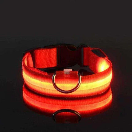 Collier avec éclairage LED waterproof