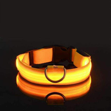 Collier avec éclairage LED waterproof