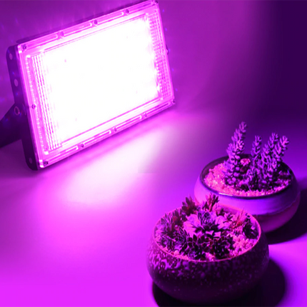 2x Lampes LED à spectre pour plantes