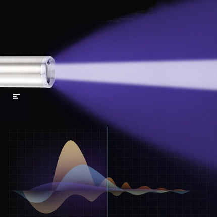 Stylo Lampe UV Détecteur de Parasites, Maladies et Urine